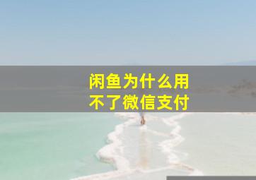 闲鱼为什么用不了微信支付