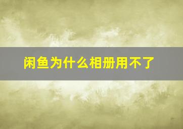 闲鱼为什么相册用不了