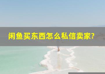 闲鱼买东西怎么私信卖家?