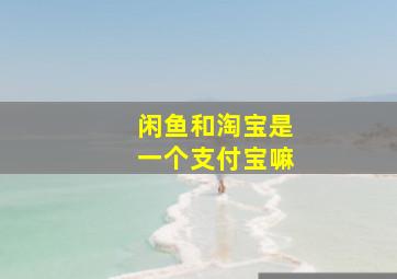 闲鱼和淘宝是一个支付宝嘛