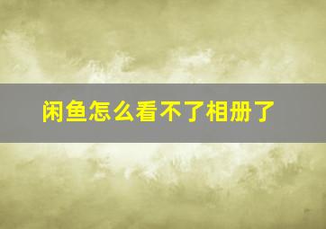 闲鱼怎么看不了相册了