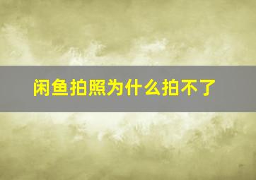 闲鱼拍照为什么拍不了