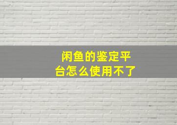 闲鱼的鉴定平台怎么使用不了