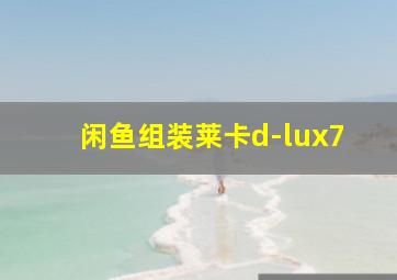 闲鱼组装莱卡d-lux7