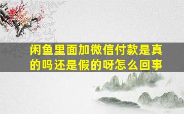 闲鱼里面加微信付款是真的吗还是假的呀怎么回事