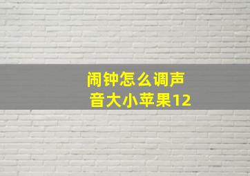 闹钟怎么调声音大小苹果12