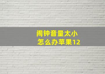 闹钟音量太小怎么办苹果12