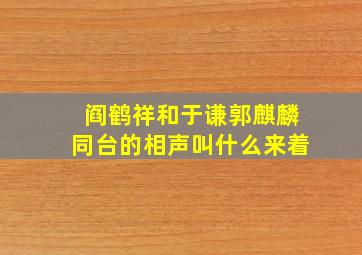 阎鹤祥和于谦郭麒麟同台的相声叫什么来着