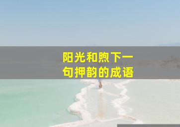 阳光和煦下一句押韵的成语