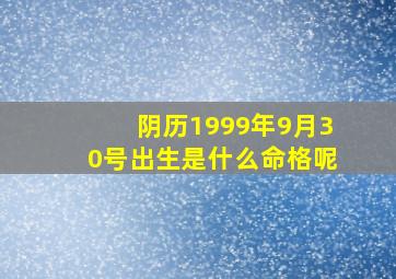 阴历1999年9月30号出生是什么命格呢