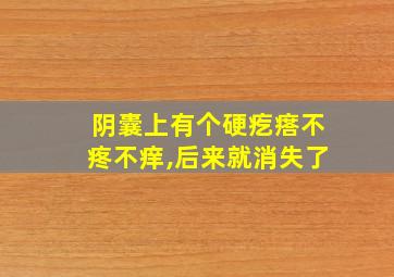 阴囊上有个硬疙瘩不疼不痒,后来就消失了