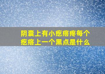 阴囊上有小疙瘩疼每个疙瘩上一个黑点是什么