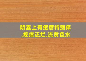 阴囊上有疙瘩特别痒,疙瘩还烂,流黄色水