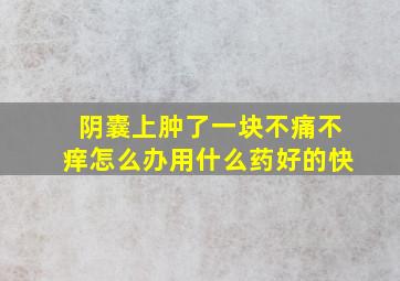 阴囊上肿了一块不痛不痒怎么办用什么药好的快