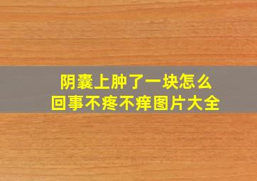 阴囊上肿了一块怎么回事不疼不痒图片大全