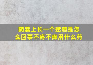 阴囊上长一个疙瘩是怎么回事不疼不痒用什么药