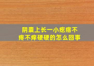 阴囊上长一小疙瘩不疼不痒硬硬的怎么回事