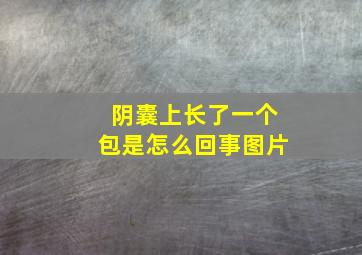 阴囊上长了一个包是怎么回事图片