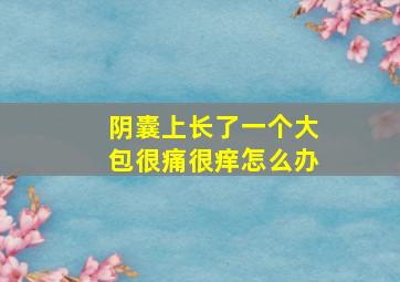 阴囊上长了一个大包很痛很痒怎么办