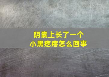 阴囊上长了一个小黑疙瘩怎么回事