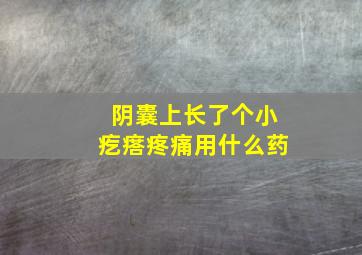 阴囊上长了个小疙瘩疼痛用什么药