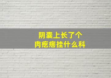 阴囊上长了个肉疙瘩挂什么科