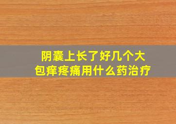 阴囊上长了好几个大包痒疼痛用什么药治疗