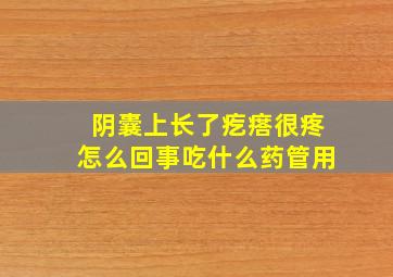 阴囊上长了疙瘩很疼怎么回事吃什么药管用