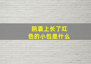 阴囊上长了红色的小包是什么