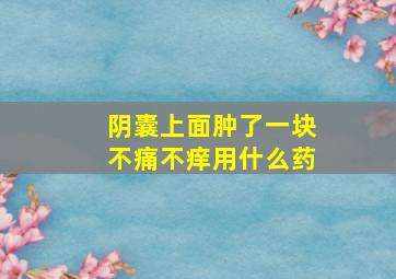 阴囊上面肿了一块不痛不痒用什么药