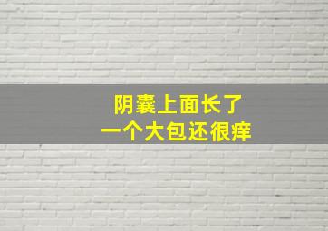 阴囊上面长了一个大包还很痒