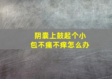 阴囊上鼓起个小包不痛不痒怎么办