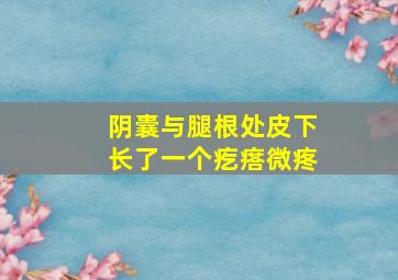 阴囊与腿根处皮下长了一个疙瘩微疼