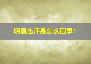 阴囊出汗是怎么回事?