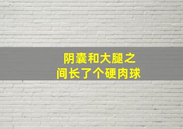 阴囊和大腿之间长了个硬肉球