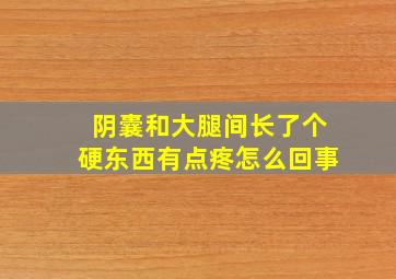 阴囊和大腿间长了个硬东西有点疼怎么回事