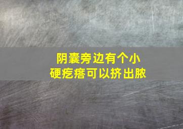 阴囊旁边有个小硬疙瘩可以挤出脓