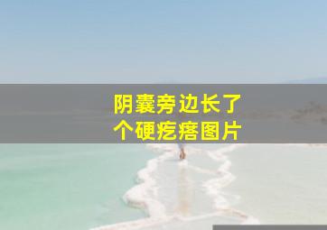 阴囊旁边长了个硬疙瘩图片