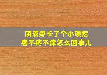 阴囊旁长了个小硬疙瘩不疼不痒怎么回事儿