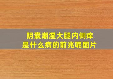 阴囊潮湿大腿内侧痒是什么病的前兆呢图片