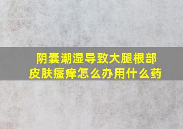 阴囊潮湿导致大腿根部皮肤瘙痒怎么办用什么药