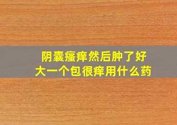 阴囊瘙痒然后肿了好大一个包很痒用什么药