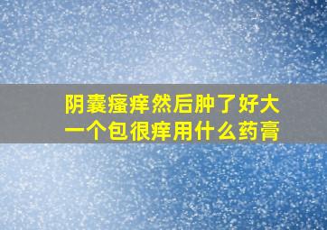 阴囊瘙痒然后肿了好大一个包很痒用什么药膏