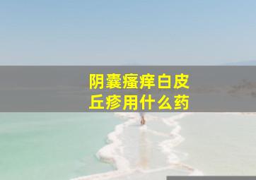 阴囊瘙痒白皮丘疹用什么药