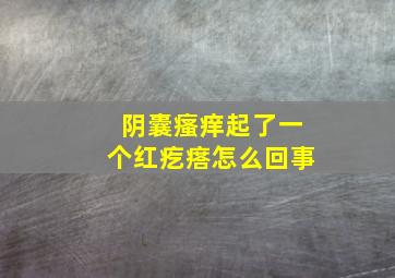 阴囊瘙痒起了一个红疙瘩怎么回事