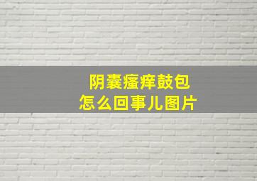 阴囊瘙痒鼓包怎么回事儿图片