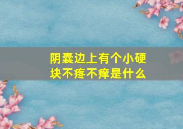 阴囊边上有个小硬块不疼不痒是什么