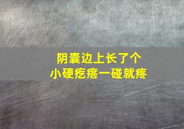 阴囊边上长了个小硬疙瘩一碰就疼