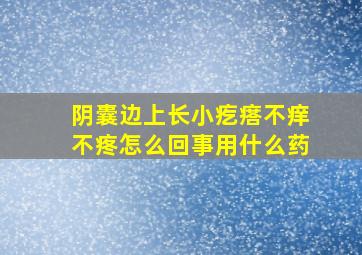 阴囊边上长小疙瘩不痒不疼怎么回事用什么药