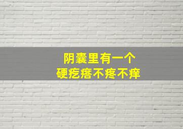 阴囊里有一个硬疙瘩不疼不痒